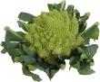 Chou Romanesco D'espagne à La Pièce