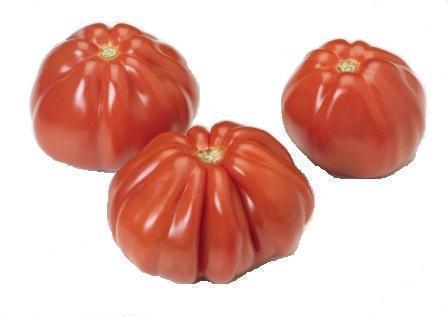 Tomate Cotelee Rouge De France Par 500g